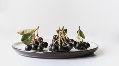 Nahrungsergänzungsmittel und Mahlzeiten mit Acai-Beeren: Superfood für Körper und Geist