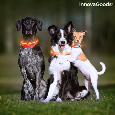LED Collar for Pets Petlux InnovaGoods