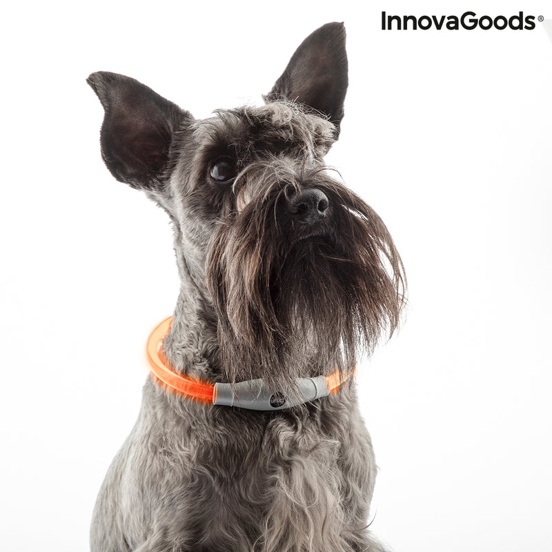 LED halsband voor huisdieren Petlux InnovaGoods