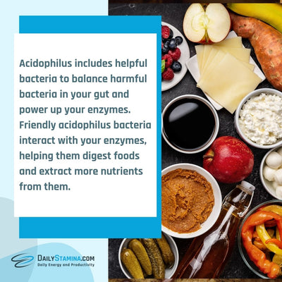 Description of Acidophilus supplement and scientific facts about its advantages