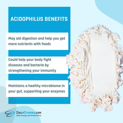 Acidophilus powder and its three benefits for your health