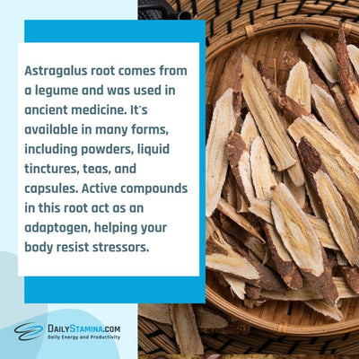 Description of Astragalus Root Extract supplement and scientific facts about its advantages