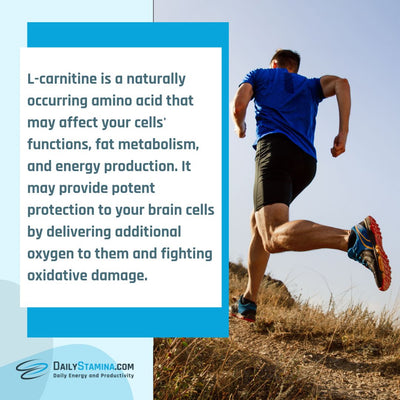 Description of L-Carnitine supplement and scientific facts about its advantages