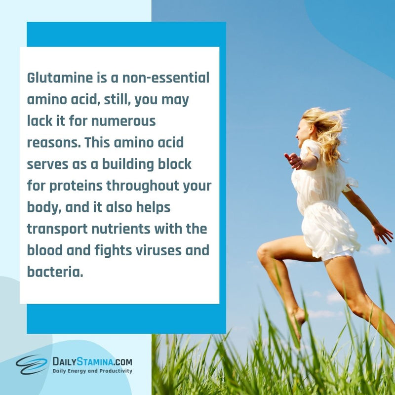 Description of L-Glutamine supplement and scientific facts about its advantages